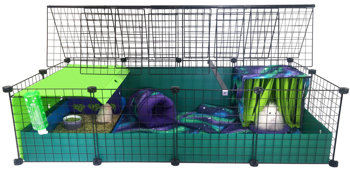 Area 51 Cagetopia Creation