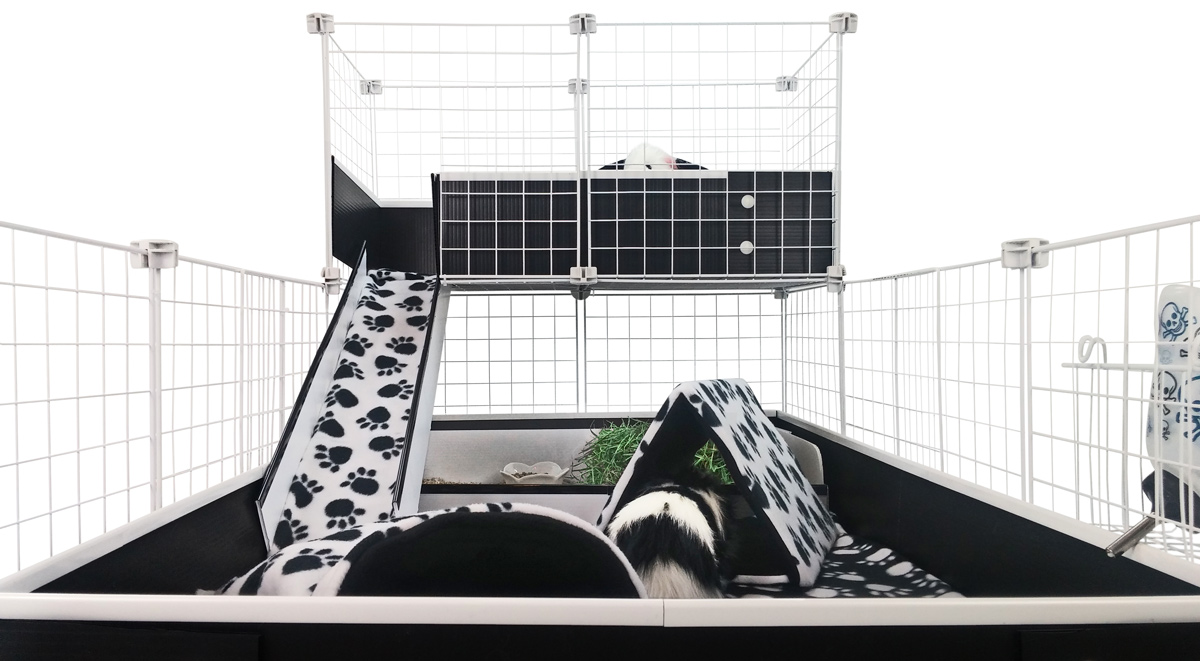 Cavy Chic Cagetopia Creation