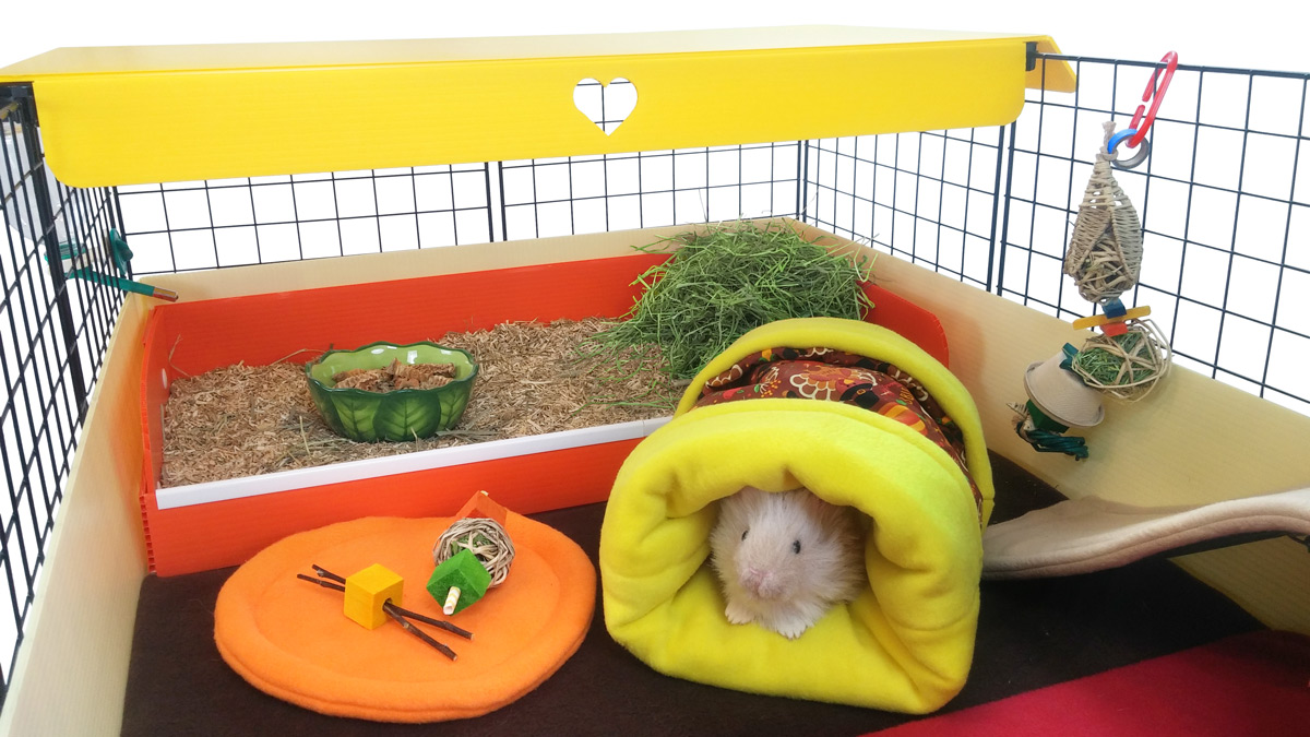 Cavy Cornucopia Kitchen
