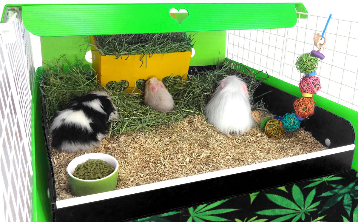 Hay Barns and Racks from Cagetopia