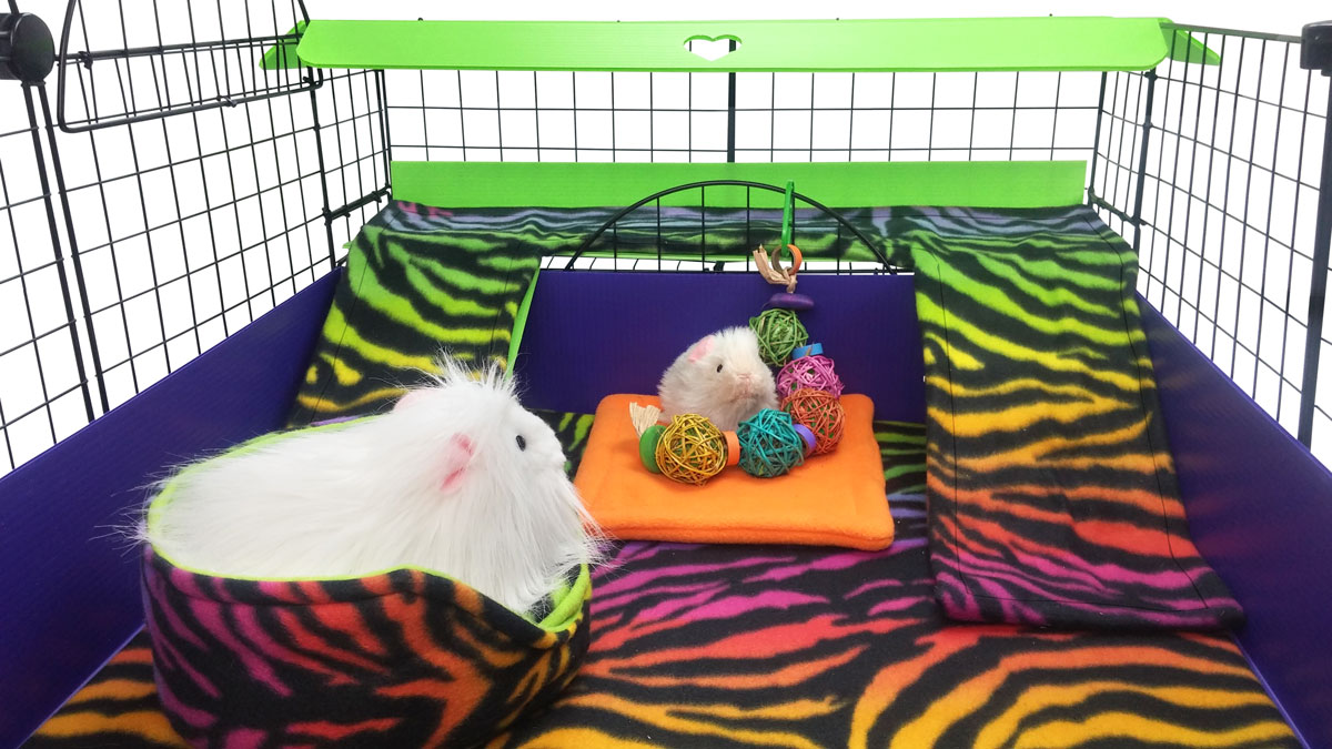 Magical Mystery Tour Cagetopia Creation