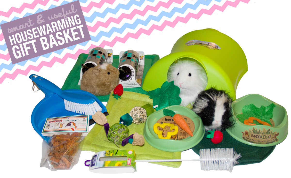 Starter Kits