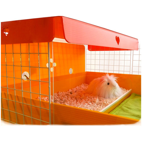 Cagetopia Kitchen