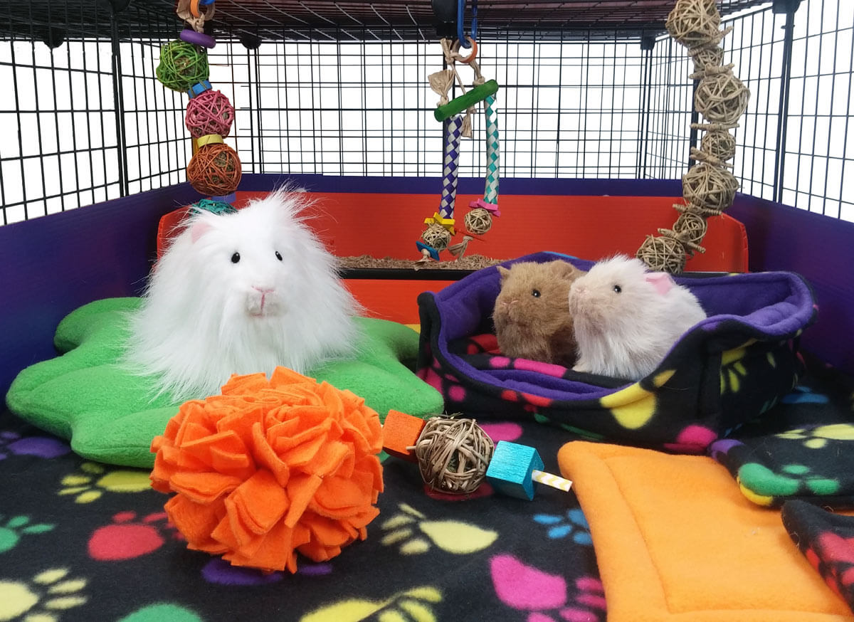 Piggies with Rainbow Paws Fleece Bedding