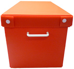 single storage bin for guinea pig storage