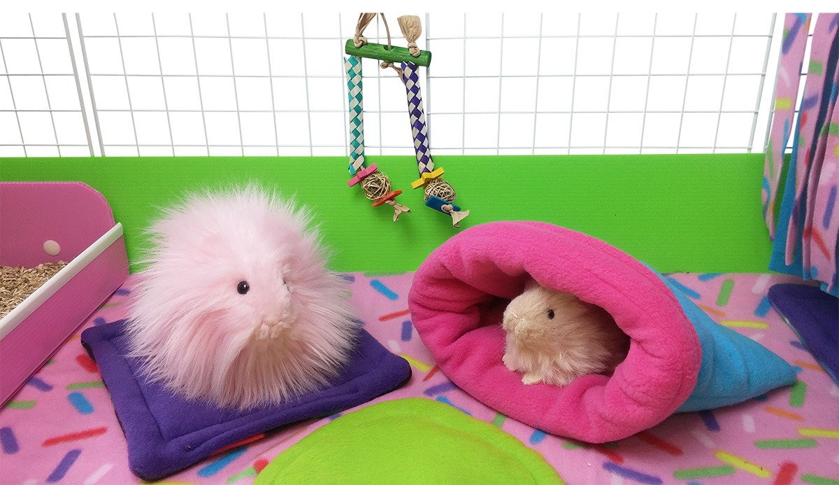 Sprinkles Fleece Fabric Collection from Guinea Pig Market