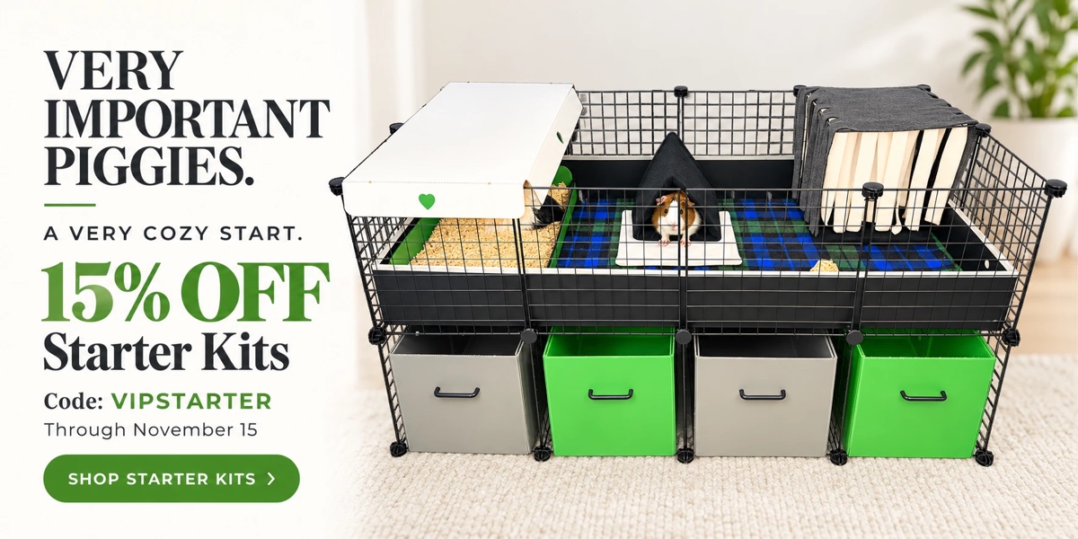 2x4 Cagetopia C&C guinea pig cage on a cage stand with bins - starter kit
