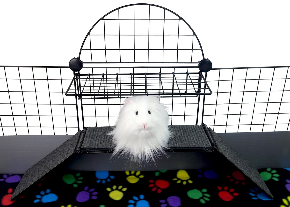 piggy perch