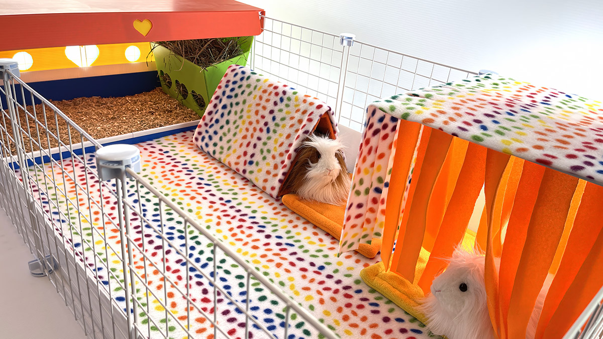 Cagetopia Basics Starter Kit cage