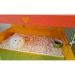 Cavy Cafe - KITCH-CAFE