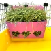 Hay Buffet in Pink filled with Hay