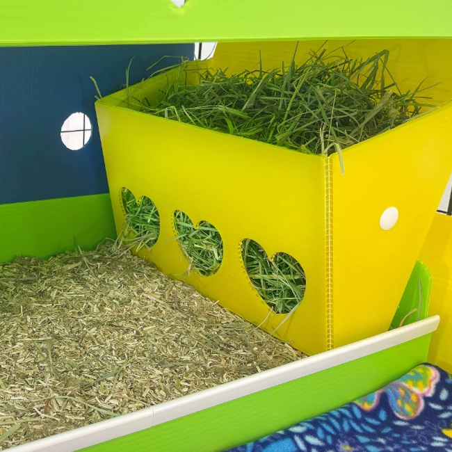 Hay Buffet in Lemon Yellow Coro - Hay Storage Container for Guinea Pig Cages