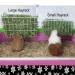 Large Hayrack - HAY-RACK-LG
