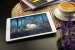 Blue Forest Piggy Art