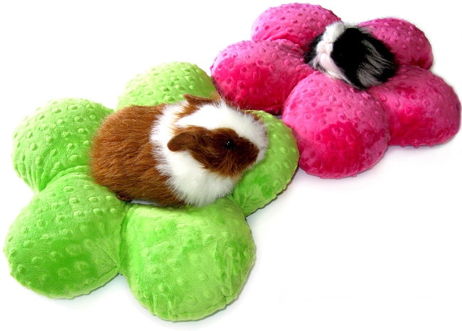Flower Pillows with Guinea Pigs