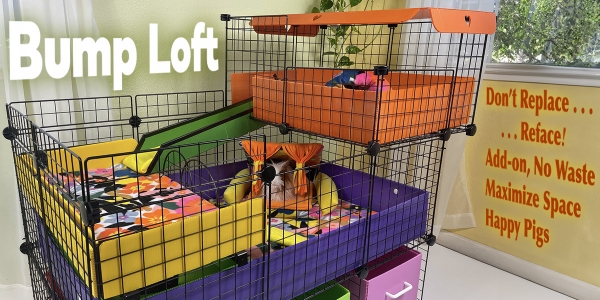 Cagetopia Bump Out Loft