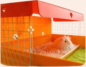 Cavy Cafe Kitchen and Canopy for a C&C Cage by Cagetopia shown in Orange
