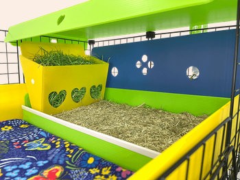 Kitchen Suite with Hay Buffet for C&C Cages