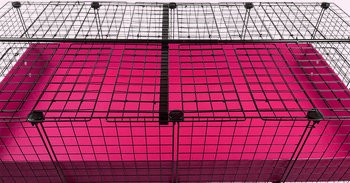 Large Covered 2x4 Grid C&C Cage by Cagetopia in Raspberry