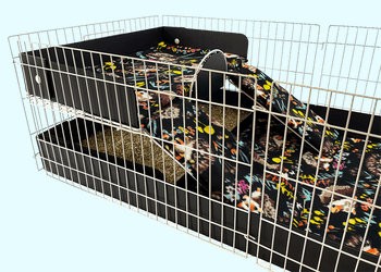 Midwest Habitat Upgrades - showing the Midwest Mezzanine