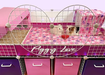 Large 2x4 Grid Cage with heart grids in the middle