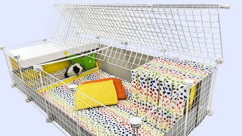 C&C Starter Kit for C&C cages, by Cagetopia