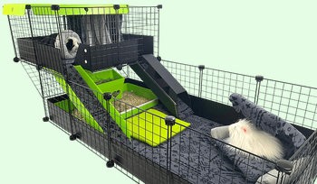 Large C&C Cage with Wide Loft and Double Ramp that is offset