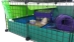 Starter Kit for Large COVERED 2x4 C&C Cage - STARTER-LG-CVR