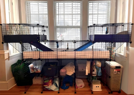Marisa's Window Nook cage