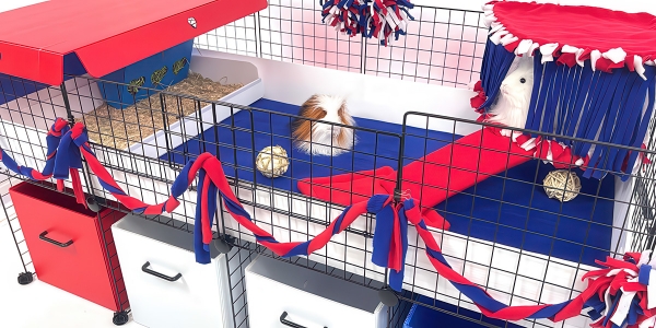 Cagetopia Independence Day