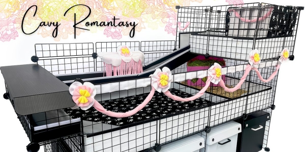 Cavy Romantasy