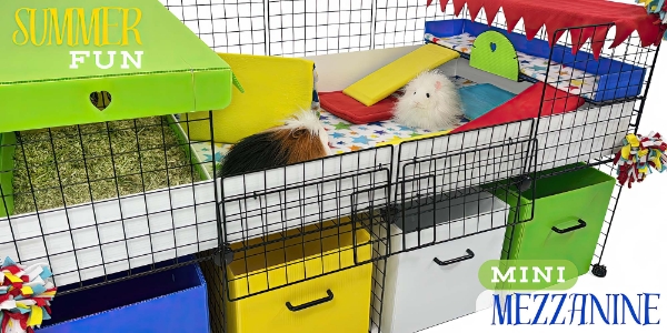 Cagetopia Summer Fun C&C Cage with Mini Mezzanine